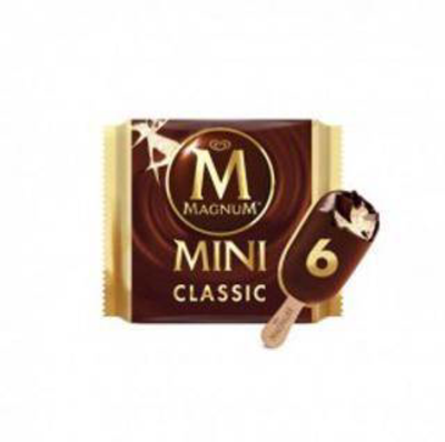 ALGİDA MAGNUM MİNİ 345ML CLS BY BAD - 1