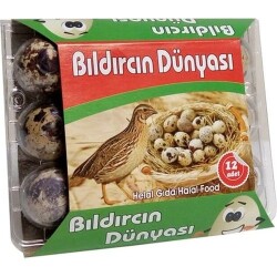 BILDIRCIN YUMURTASI - 5