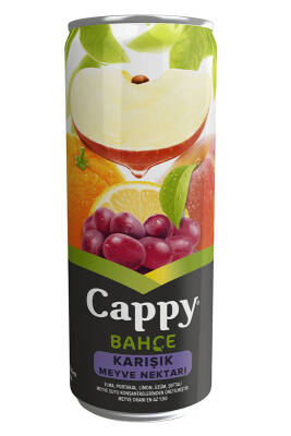 CAPPY KUTU 330ML KARIŞIK - 1
