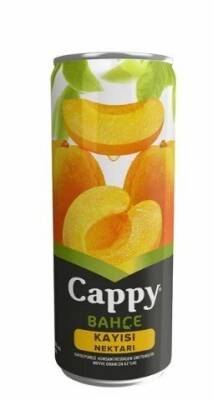 CAPPY KUTU 330ML KAYISI - 1