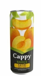 CAPPY KUTU 330ML KAYISI - 6