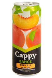 CAPPY KUTU 330ML ŞEFTALİ - 5