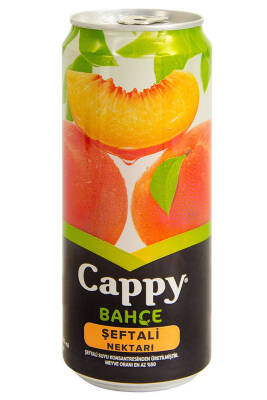 CAPPY KUTU 330ML ŞEFTALİ - 6