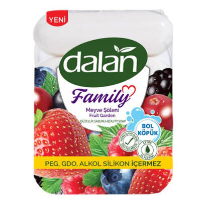 DALAN SABUN 4*75 MEYVE ŞÖLENİ - 1