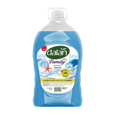 DALAN SIVI SABUN 3LT OKYANUS - 2