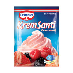 DR.OETKER KREM ŞANTİ 75GR ORMAN MEYVELİ 12 - DR.OETKER