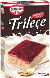 DR.OETKER TRİLİÇE BÖĞÜRTLEN 315GR - 6