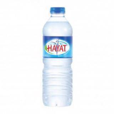 HAYAT SU 0.5LT - 2