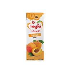 MEYSU M.SUYU DYNAMİC 200ML KAYISI - 5